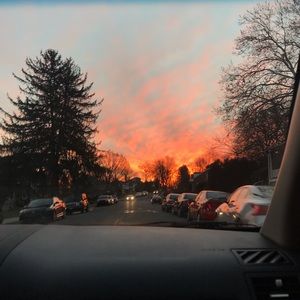 Meet your Posher, Maddy